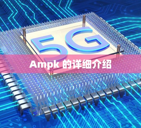 Ampk 的详细介绍 Ampk 的详细介绍