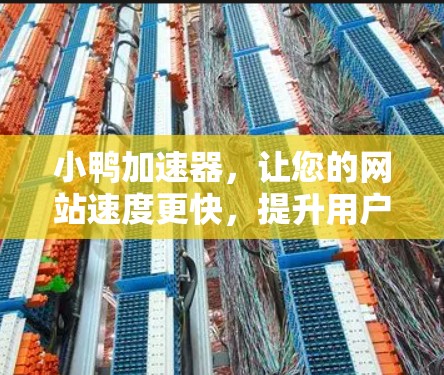 小鸭加速器，让您的网站速度更快，提升用户体验