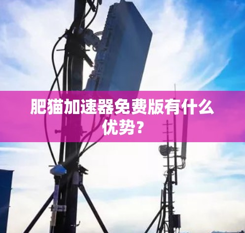 肥猫加速器免费版有什么优势？