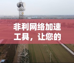 非利网络加速工具，让您的网络加速更轻松与高效