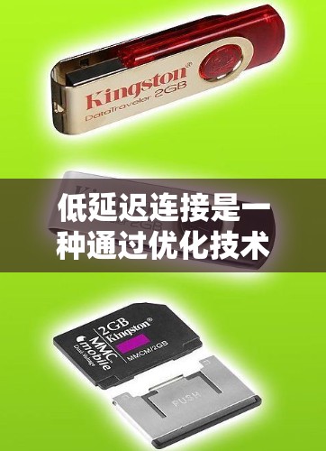 低延迟连接是一种通过优化技术来减少服务器响应时间，从而加快页面加载速度的方法。以下是对低延迟连接的详细分析和总结