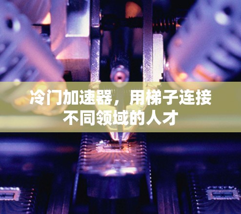 冷门加速器，用梯子连接不同领域的人才