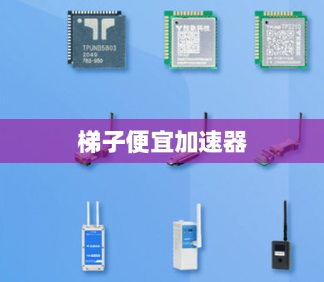 梯子便宜加速器 梯子便宜加速器