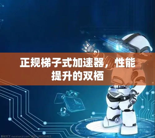 正规梯子式加速器，性能提升的双栖