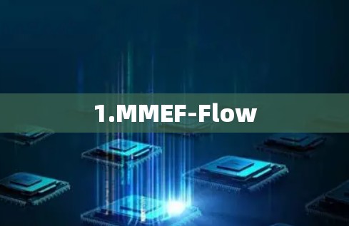 1.MMEF-Flow