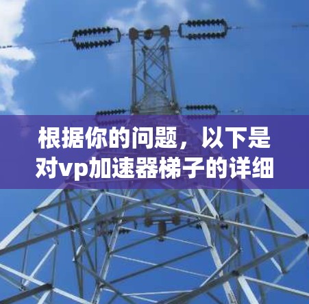 根据你的问题，以下是对vp加速器梯子的详细分析和建议