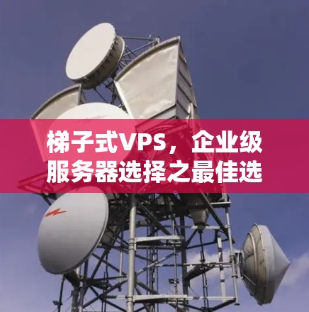 梯子式VPS,企业级服务器选择之最佳选择—提升效率与稳定性 梯子式VPS,企业级服务器选择之最佳选择—提升效率与稳定性