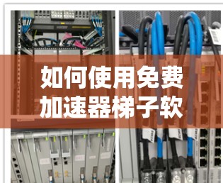 如何使用免费加速器梯子软件提升网络速度？