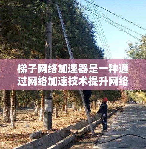 梯子网络加速器是一种通过网络加速技术提升网络连接效率的工具，广泛应用于文件传输、云存储、视频流等场景。以下是对一些推荐的详细分析和总结