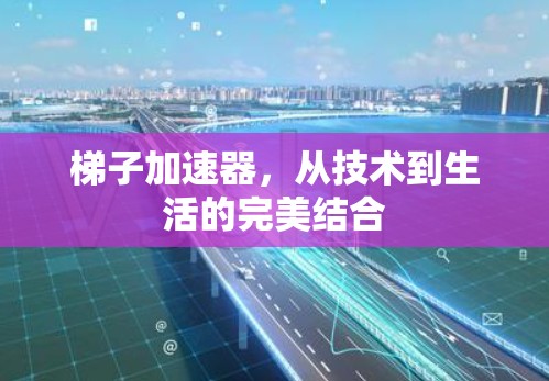 梯子加速器，从技术到生活的完美结合