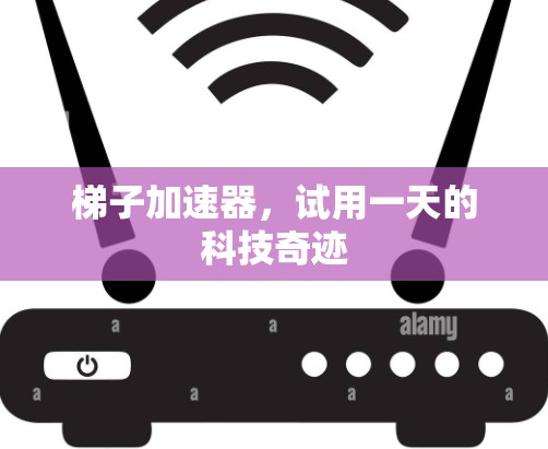 梯子加速器，试用一天的科技奇迹