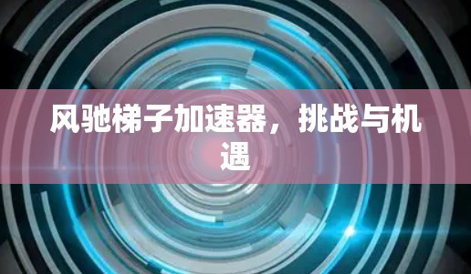 风驰梯子加速器，挑战与机遇