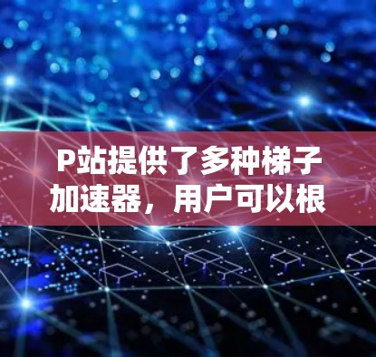 P站提供了多种梯子加速器，用户可以根据自己的需求选择合适的加速器。以下是一些主要的加速器及其特点