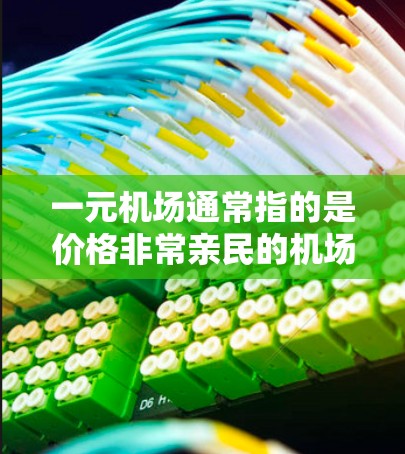 一元机场通常指的是价格非常亲民的机场，可能是指价格较低的机场，或者是指服务非常优质、价格极低的机场。以下是一些常见的便宜机场
