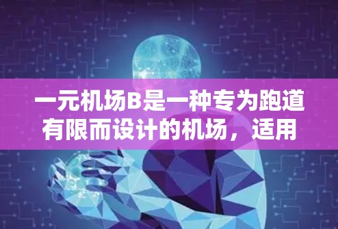 一元机场B是一种专为跑道有限而设计的机场,适用于无法容纳多条跑道的情况。以下是对这一元机场的详细分析 一元机场B是一种专为跑道有限而设计的机场,适用于无法容纳多条跑道的情况。以下是对这一元机场的详细分析