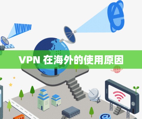 VPN 在海外的使用原因