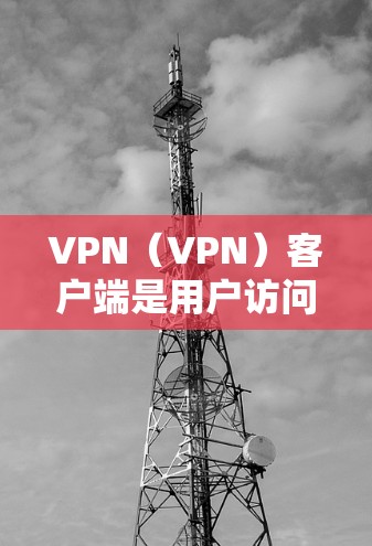 VPN（VPN）客户端是用户访问国际互联网服务的重要工具，提供了一个安全、可靠且高效的网络连接方式。以下是几家知名的VPN品牌和它们提供的一款海外客户端