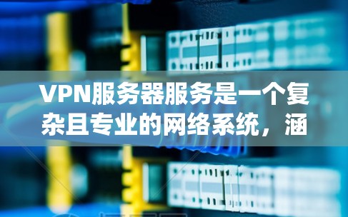 VPN服务器服务是一个复杂且专业的网络系统，涵盖了加密传输、数据存储、流量控制等多个关键功能。以下是对 VPN 网站服务器服务的系统分解和详细说明