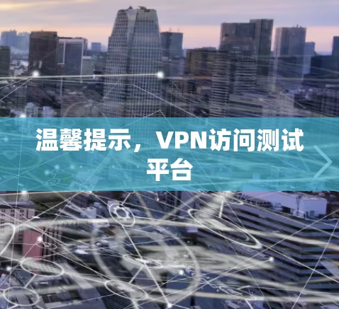 温馨提示，VPN访问测试平台