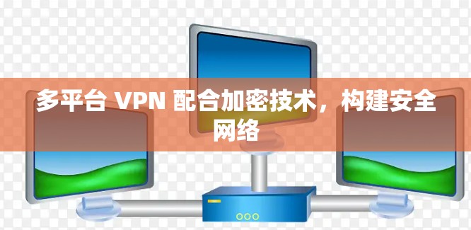 多平台 VPN 配合加密技术，构建安全网络