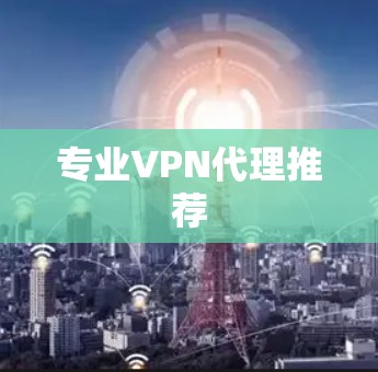 专业VPN代理推荐
