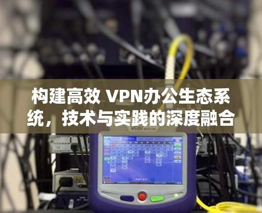 构建高效 VPN办公生态系统,技术与实践的深度融合 构建高效 VPN办公生态系统,技术与实践的深度融合