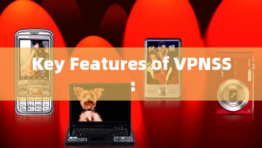 Key Features of VPNSS: