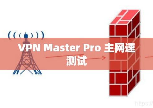 VPN Master Pro 主网速测试 VPN Master Pro 主网速测试