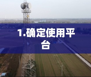 1.确定使用平台