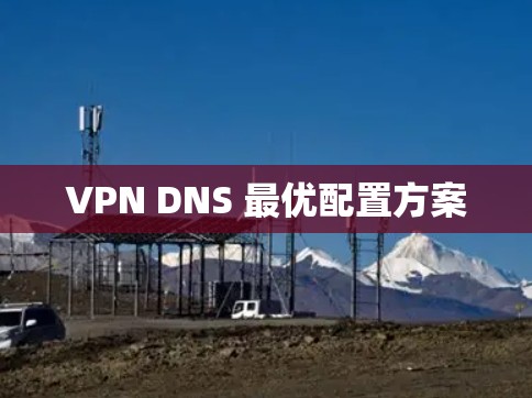 VPN DNS 最优配置方案