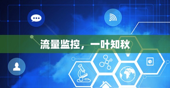 流量监控，一叶知秋