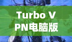 Turbo VPN电脑版下载步骤