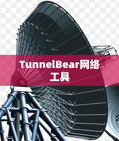 TunnelBear网络工具