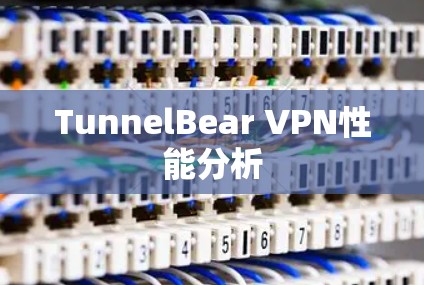 TunnelBear VPN性能分析
