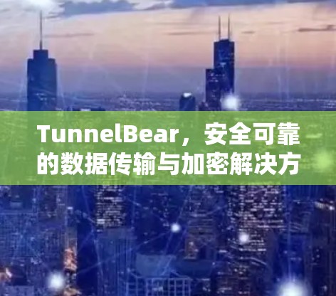 TunnelBear,安全可靠的数据传输与加密解决方案 TunnelBear,安全可靠的数据传输与加密解决方案