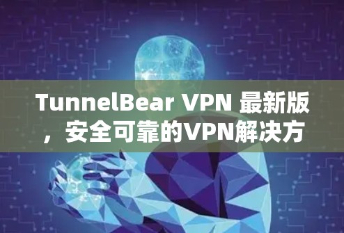 TunnelBear VPN 最新版，安全可靠的VPN解决方案