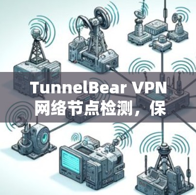 TunnelBear VPN 网络节点检测，保障网络安全的关键手段