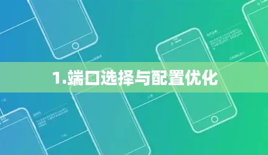 1.端口选择与配置优化