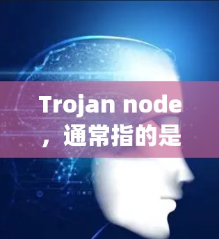Trojan node，通常指的是一种内部或特定的节点或系统，可能看起来正常，但实际上具有攻击性或潜在的安全风险。以下是对Trojan node的详细分类和解释