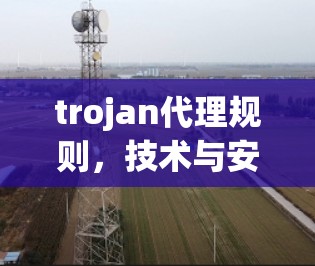 trojan代理规则，技术与安全的平衡