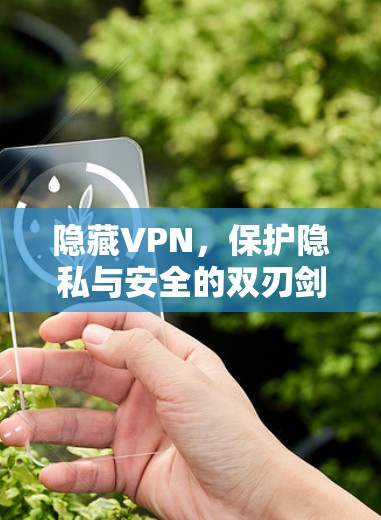 隐藏VPN，保护隐私与安全的双刃剑