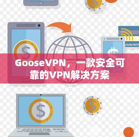 GooseVPN，一款安全可靠的VPN解决方案
