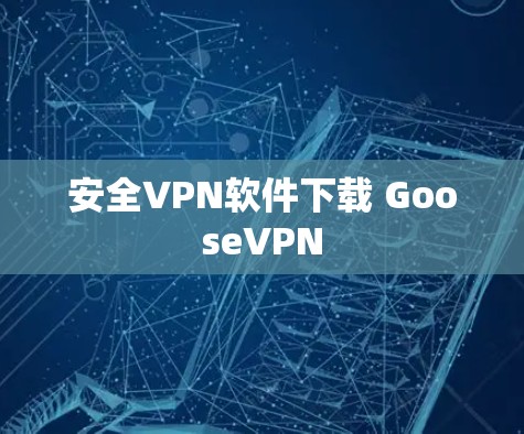 安全VPN软件下载 GooseVPN 安全VPN软件下载 GooseVPN