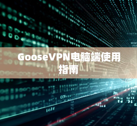 GooseVPN电脑端使用指南