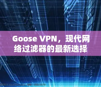 Goose VPN,现代网络过滤器的最新选择 Goose VPN,现代网络过滤器的最新选择