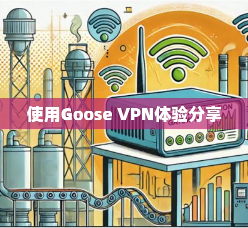 使用Goose VPN体验分享