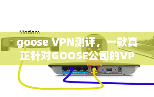 goose VPN测评，一款真正针对GOOSE公司的VPN服务