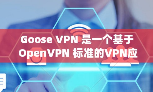 Goose VPN 是一个基于 OpenVPN 标准的VPN应用程序，旨在提供安全、匿名和高速度的网络连接。它通过一个用户友好的客户端界面，让用户可以轻松地在任何设备上连接到远程服务器