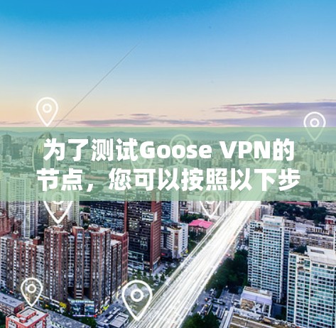 为了测试Goose VPN的节点，您可以按照以下步骤操作