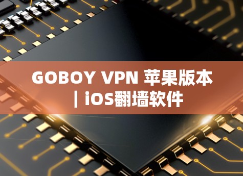 GOBOY VPN 苹果版本｜iOS翻墙软件